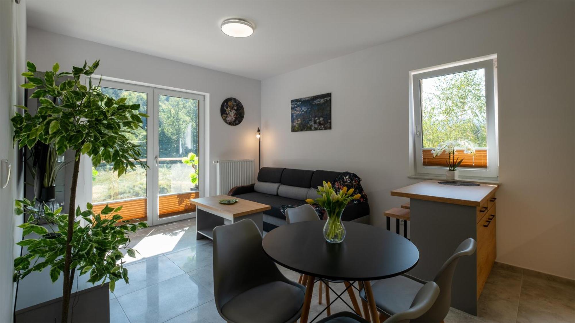 Sun & Snow River Park Apartment Wisla